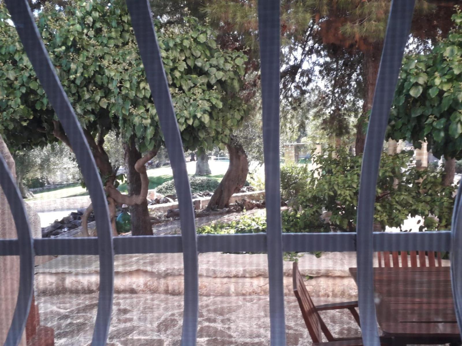 Masseria Due Torri Monopoli Ruang foto