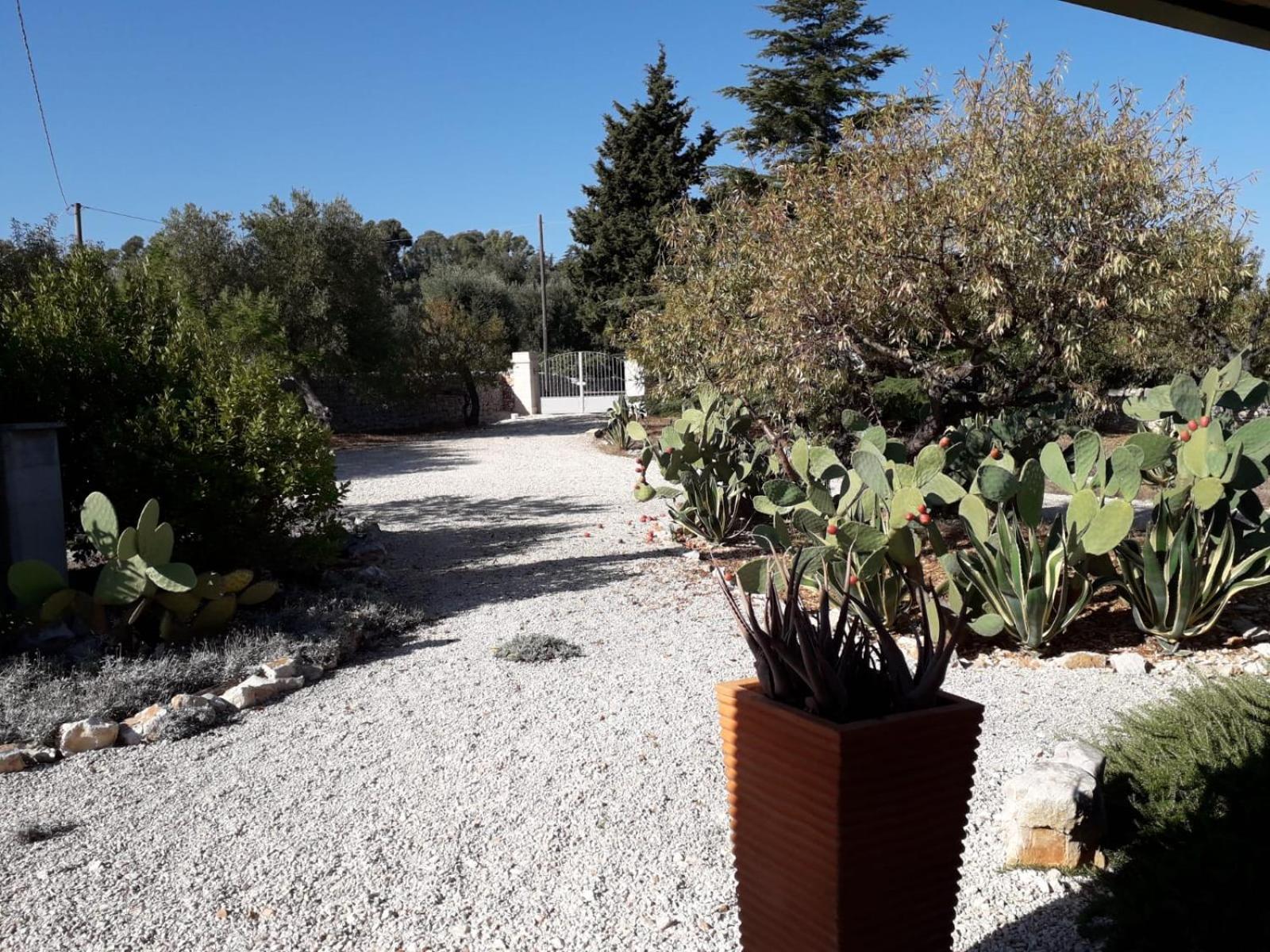 Masseria Due Torri Monopoli Ruang foto