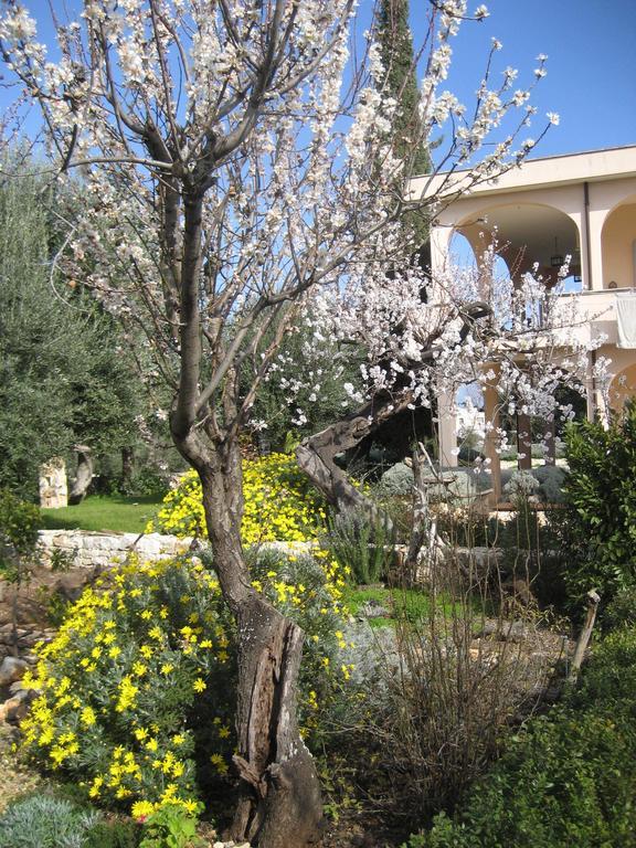 Masseria Due Torri Monopoli Ruang foto