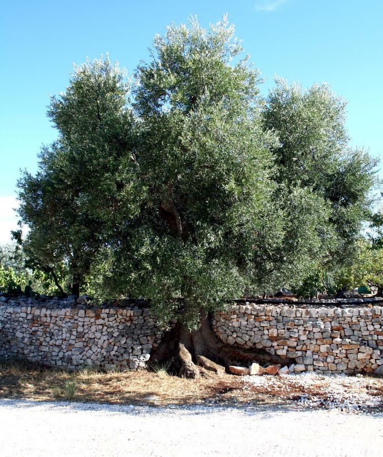 Masseria Due Torri Monopoli Bagian luar foto