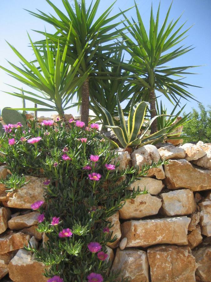 Masseria Due Torri Monopoli Bagian luar foto